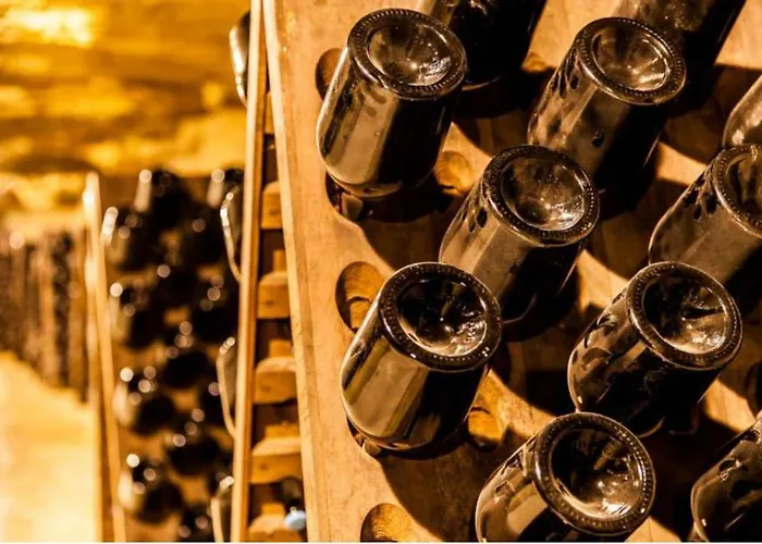 شقة Rousseau - Centre 5 Minutes Gare